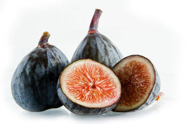 Dwarf Fig Tree